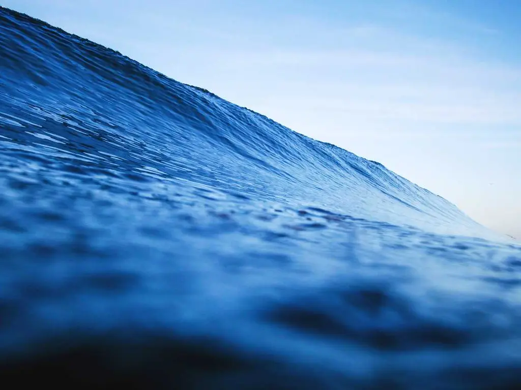 embrace open-source applications