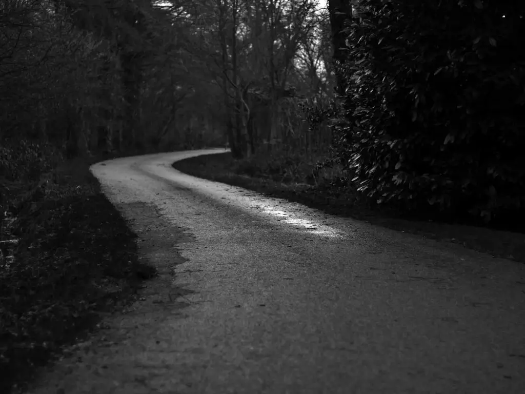 maximize open-source e-services