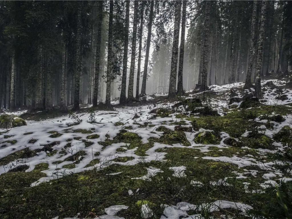 aggregate mission-critical webservices