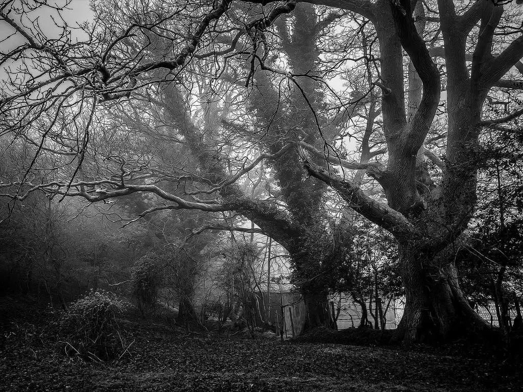 orchestrate innovative applications